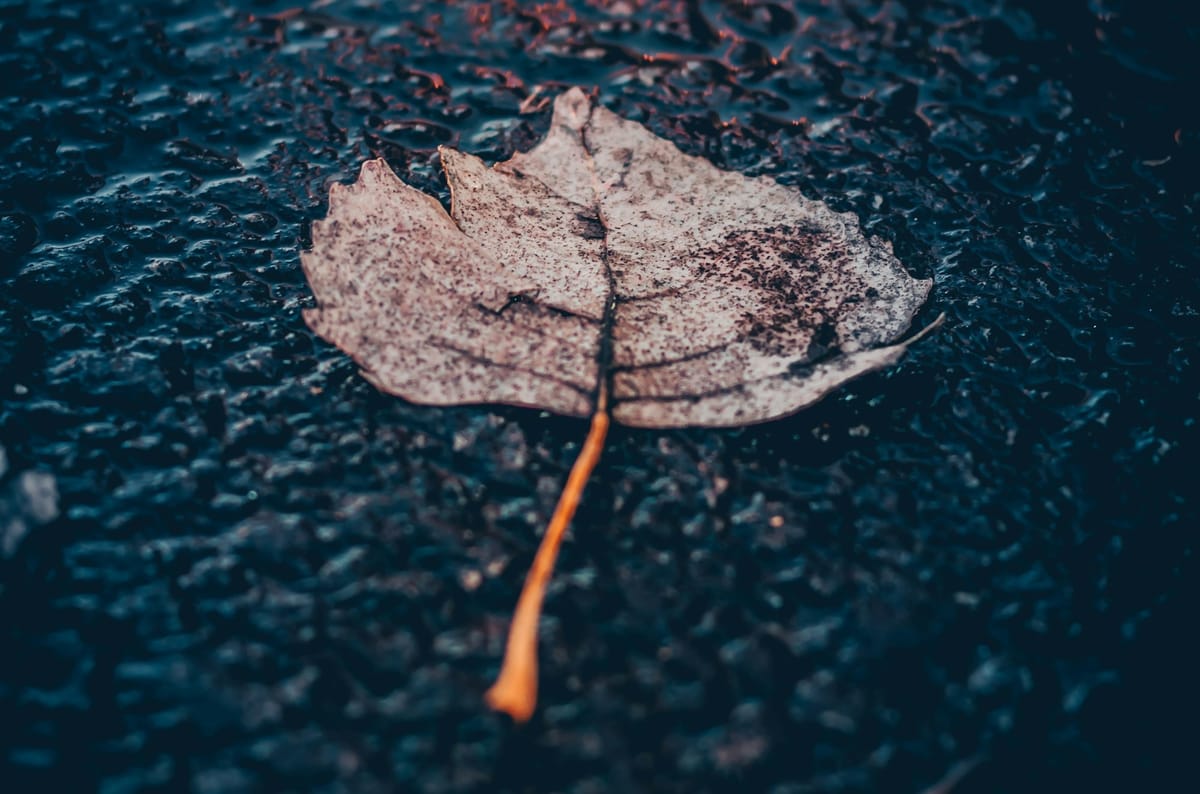 Cold and Alone: A Poem