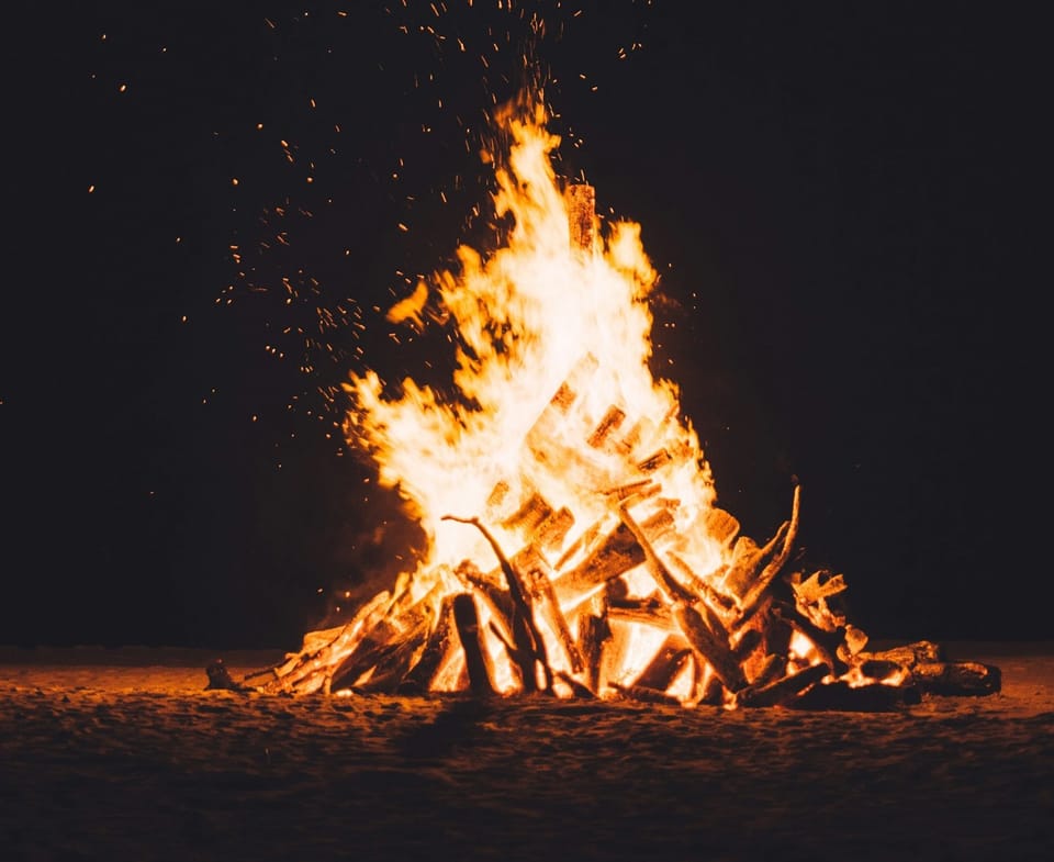 Announcing the Winners of Our Sixth Annual Children’s Book Cleanse!